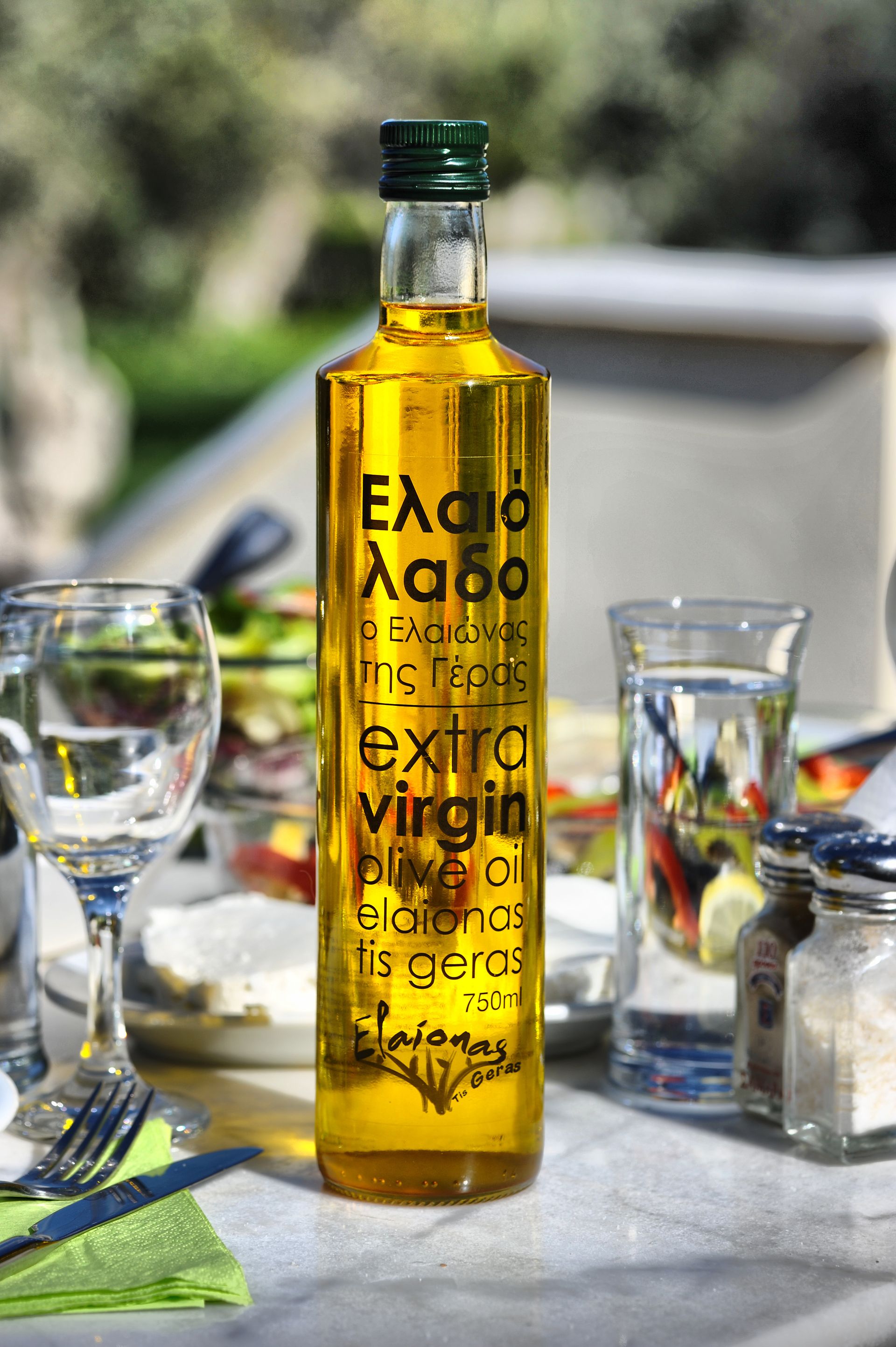 Gera's Olive Grove (Elaionas Tis Geras) - 54