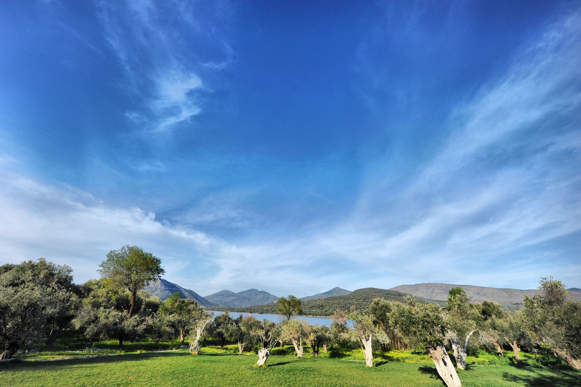 Gera's Olive Grove (Elaionas Tis Geras) - 55