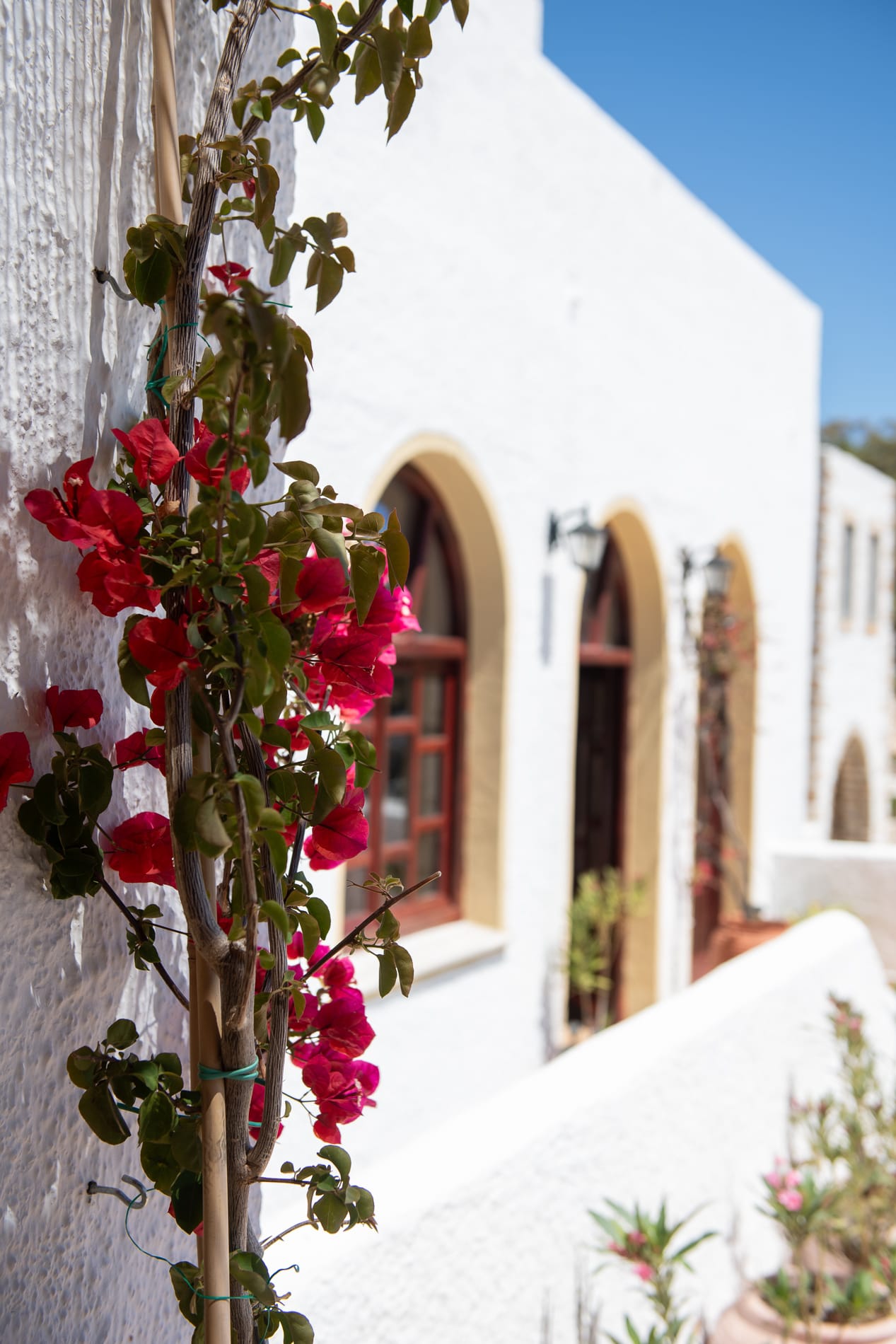 Golden Sun Hotel Patmos - 10