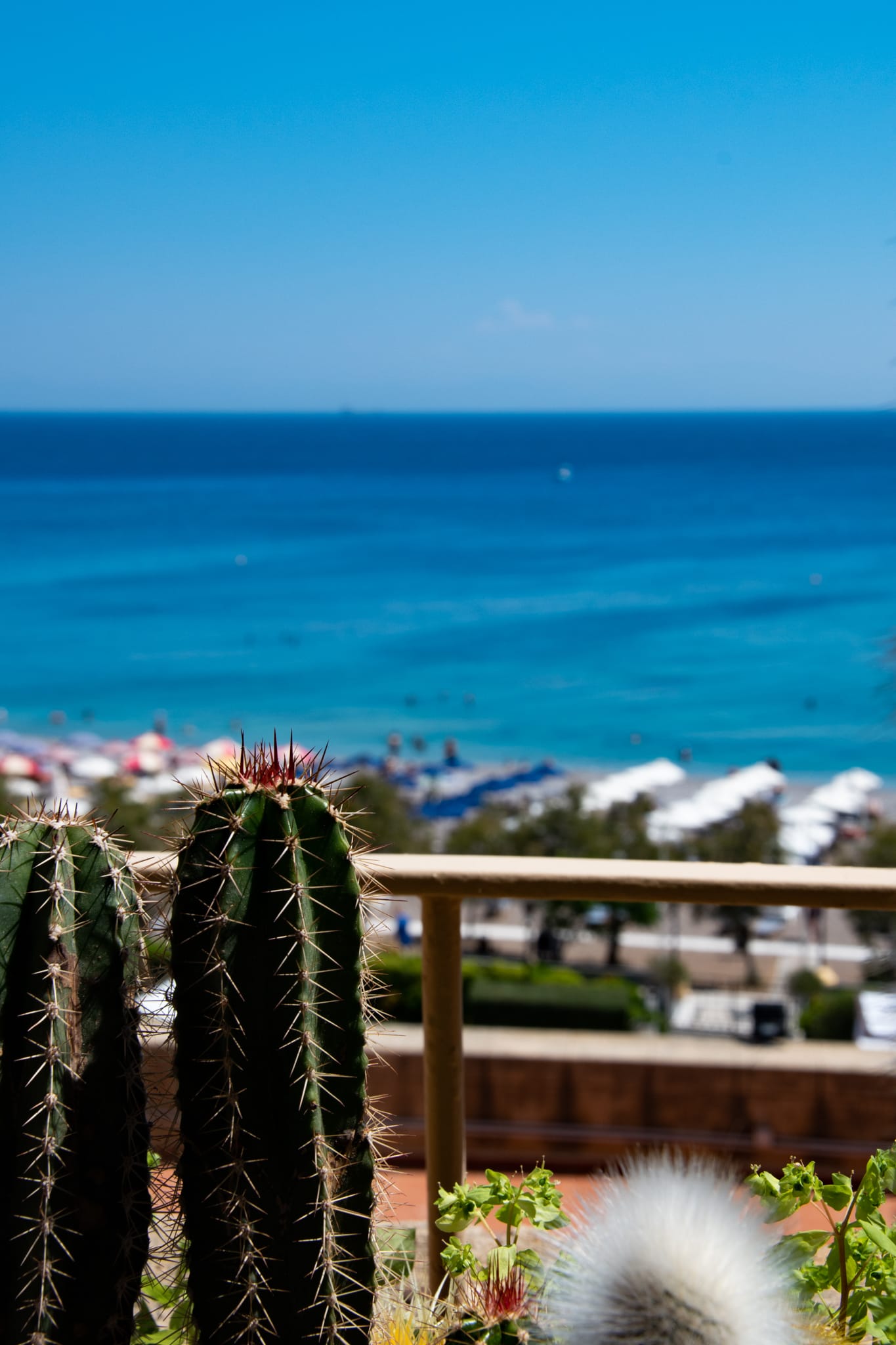 Grande Albergo Delle Rose - 9