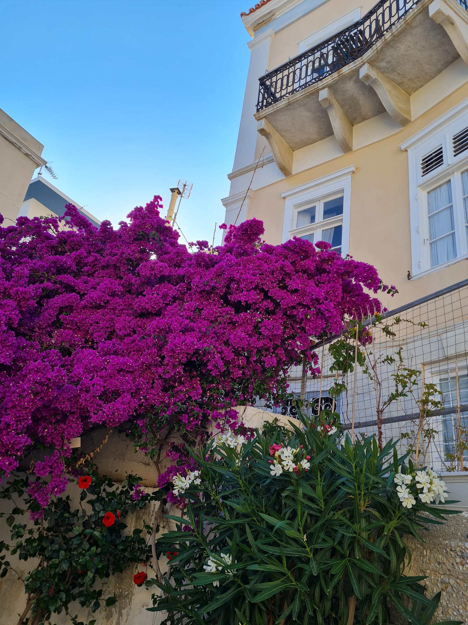 Hotel Omiros Syros - 28