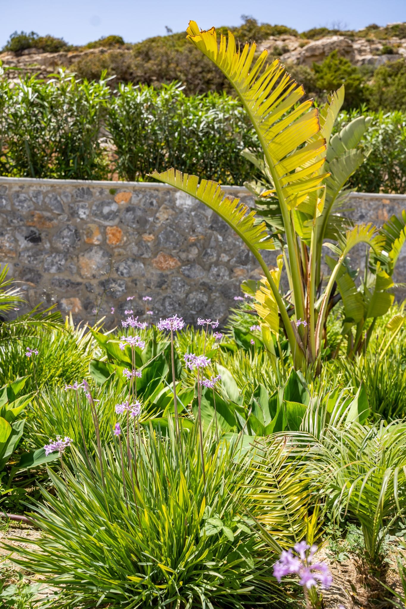Istia Luxury Villas - 102