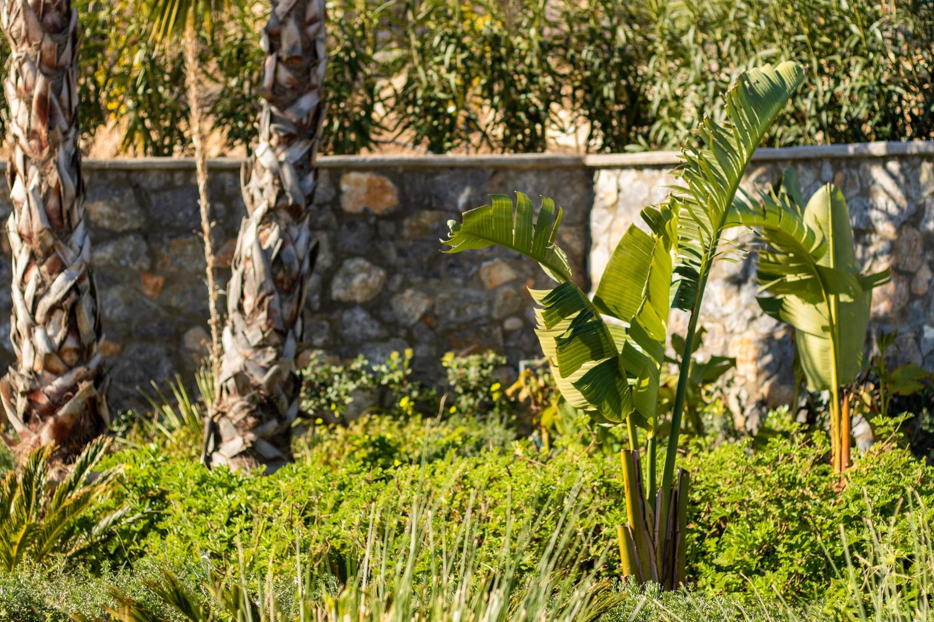 Istia Luxury Villas - 104