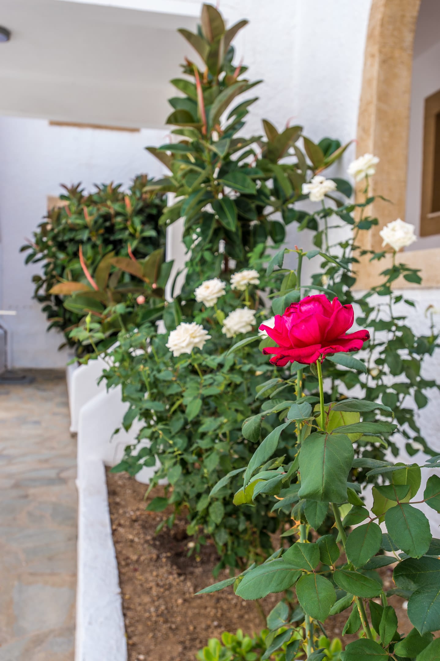 Joanna Apart - Hotel Patmos - 10