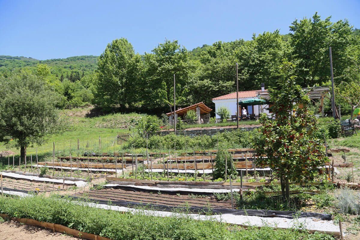 Karaiskos Farm - 1
