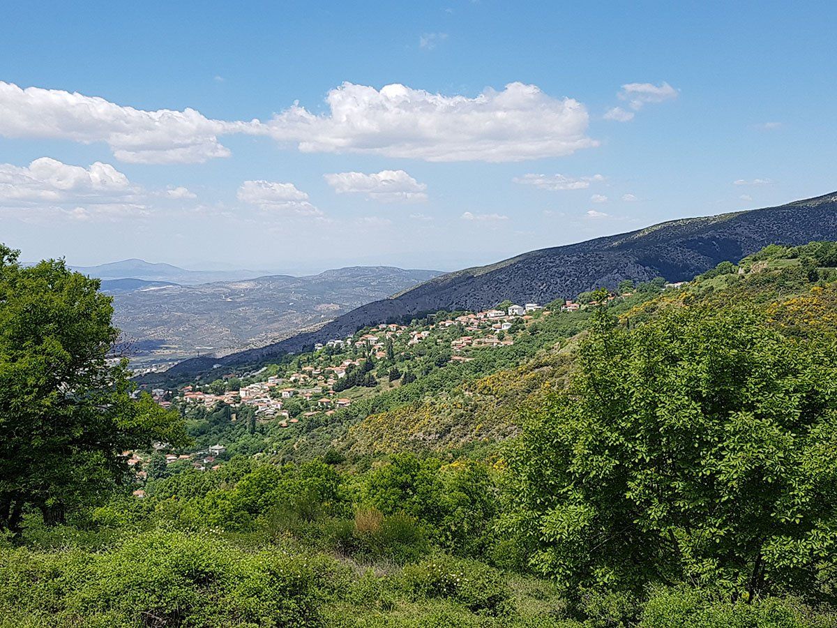 Karaiskos Farm - 2