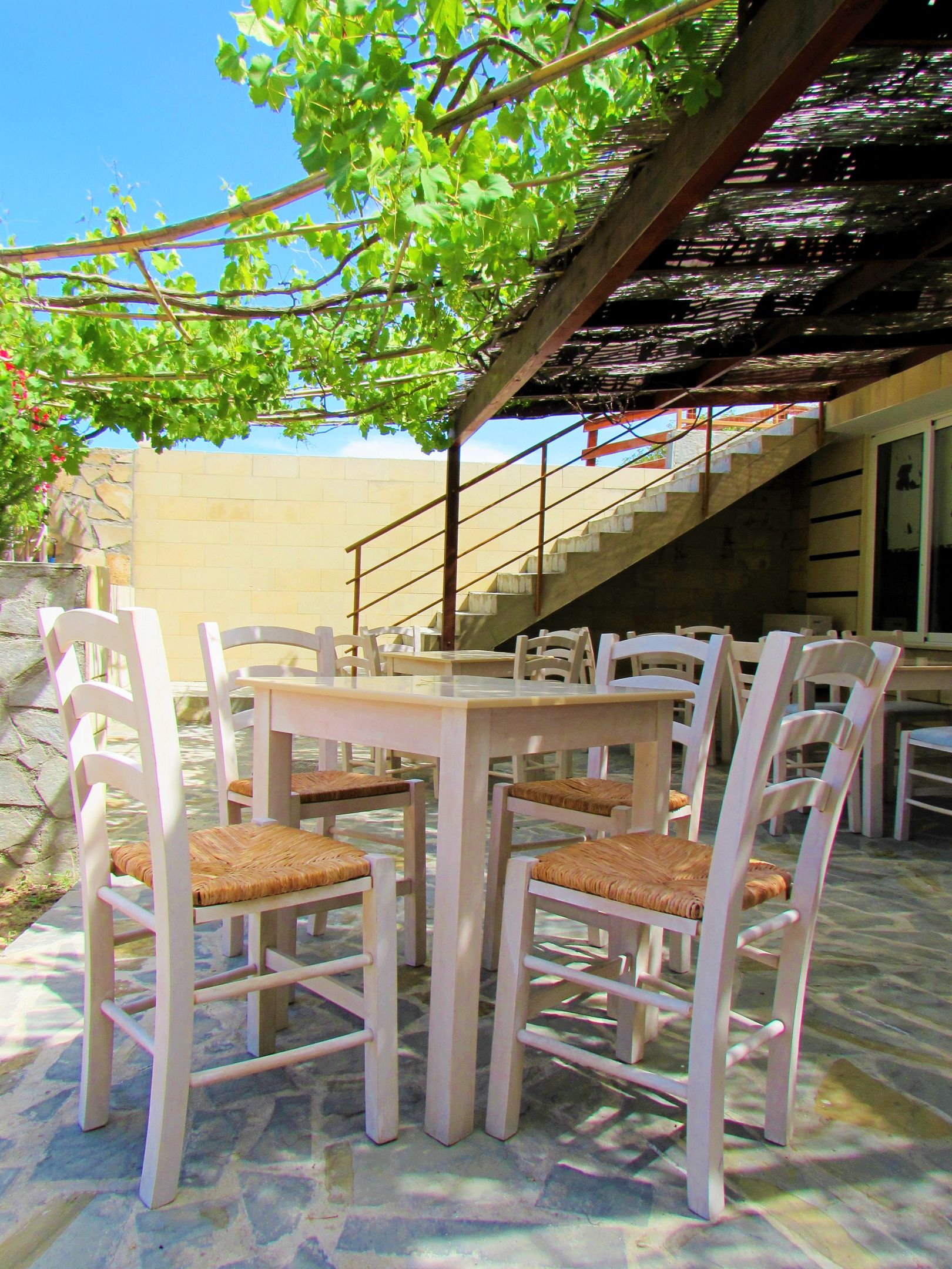 Ledras Beach Hotel & Villas - 9