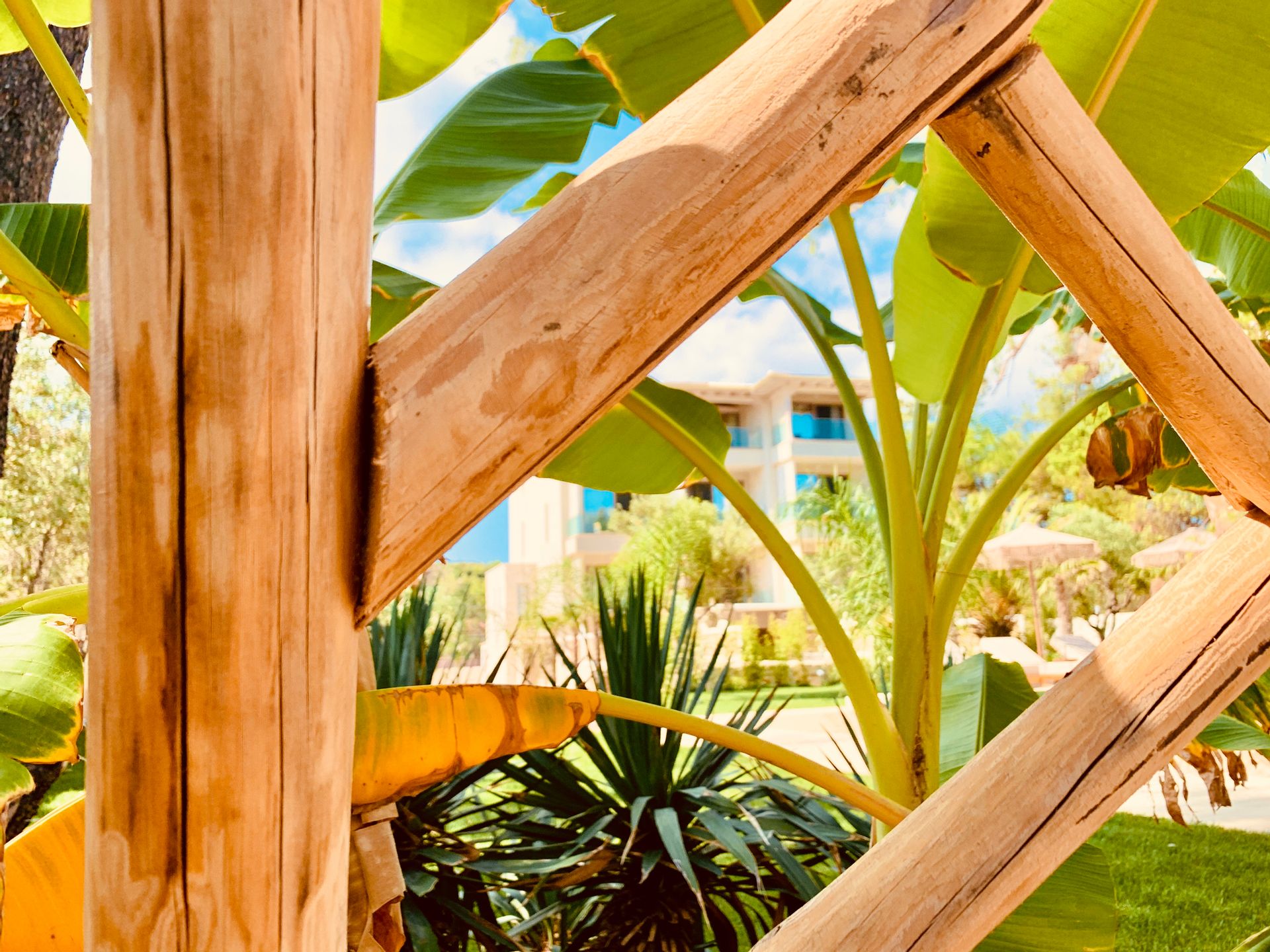 MAKO Sea & Suites - 7