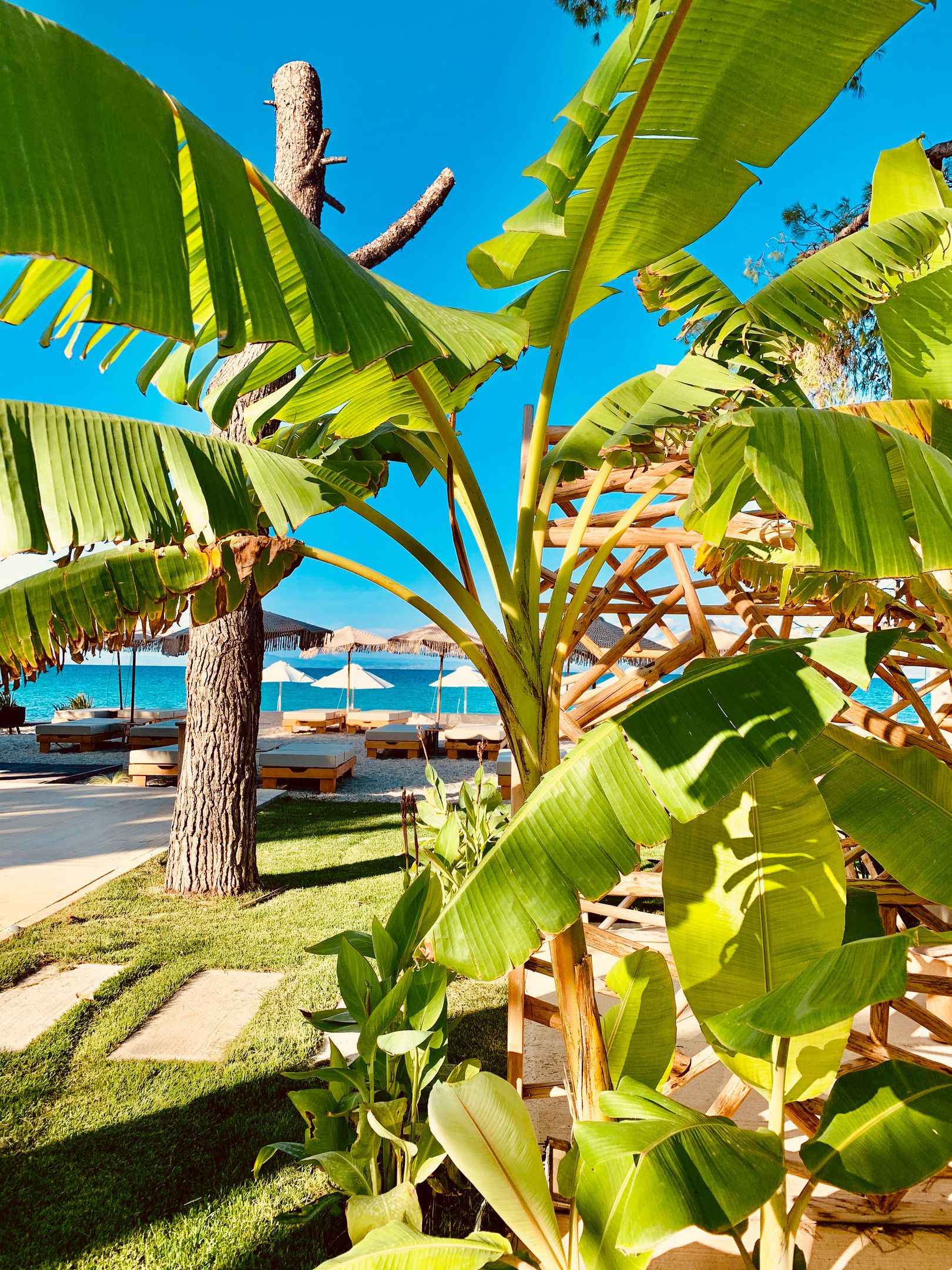 MAKO Sea & Suites - 33