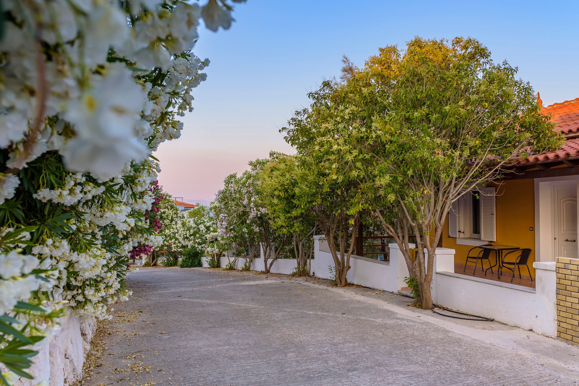 Mouzakis Villas Samos - 3