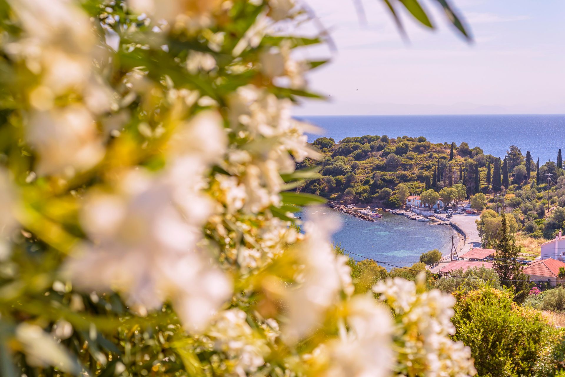 Mouzakis Villas Samos - 4