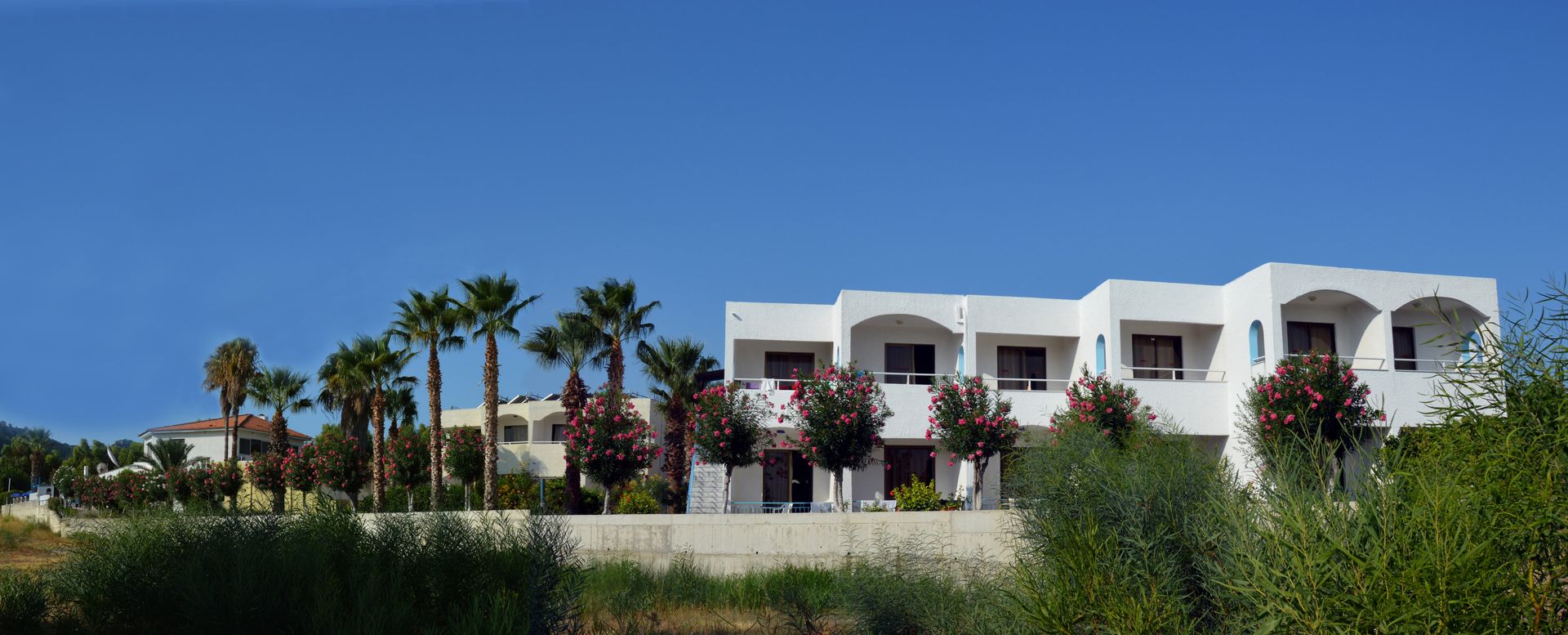 Muses Hotel - 8