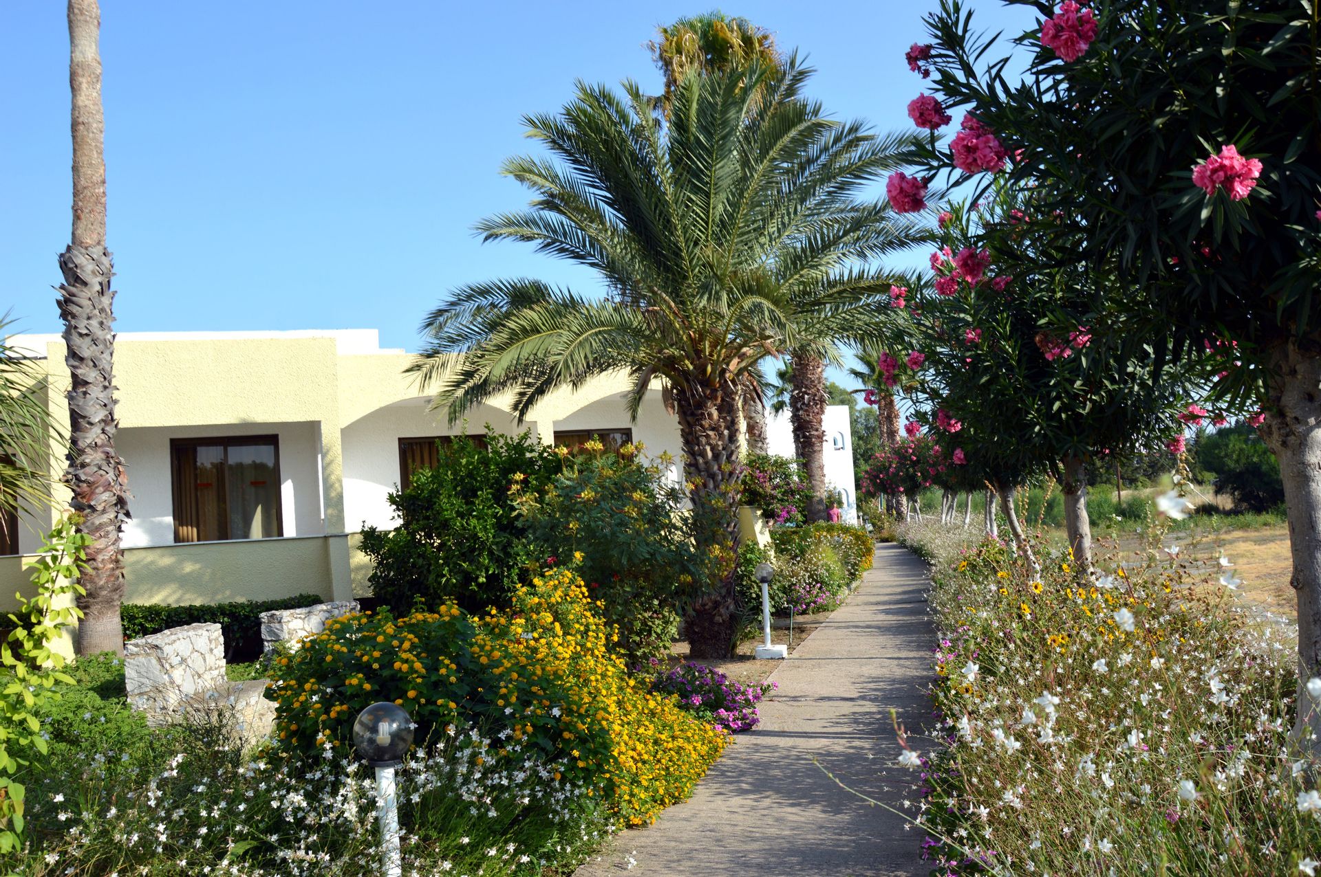 Muses Hotel - 19