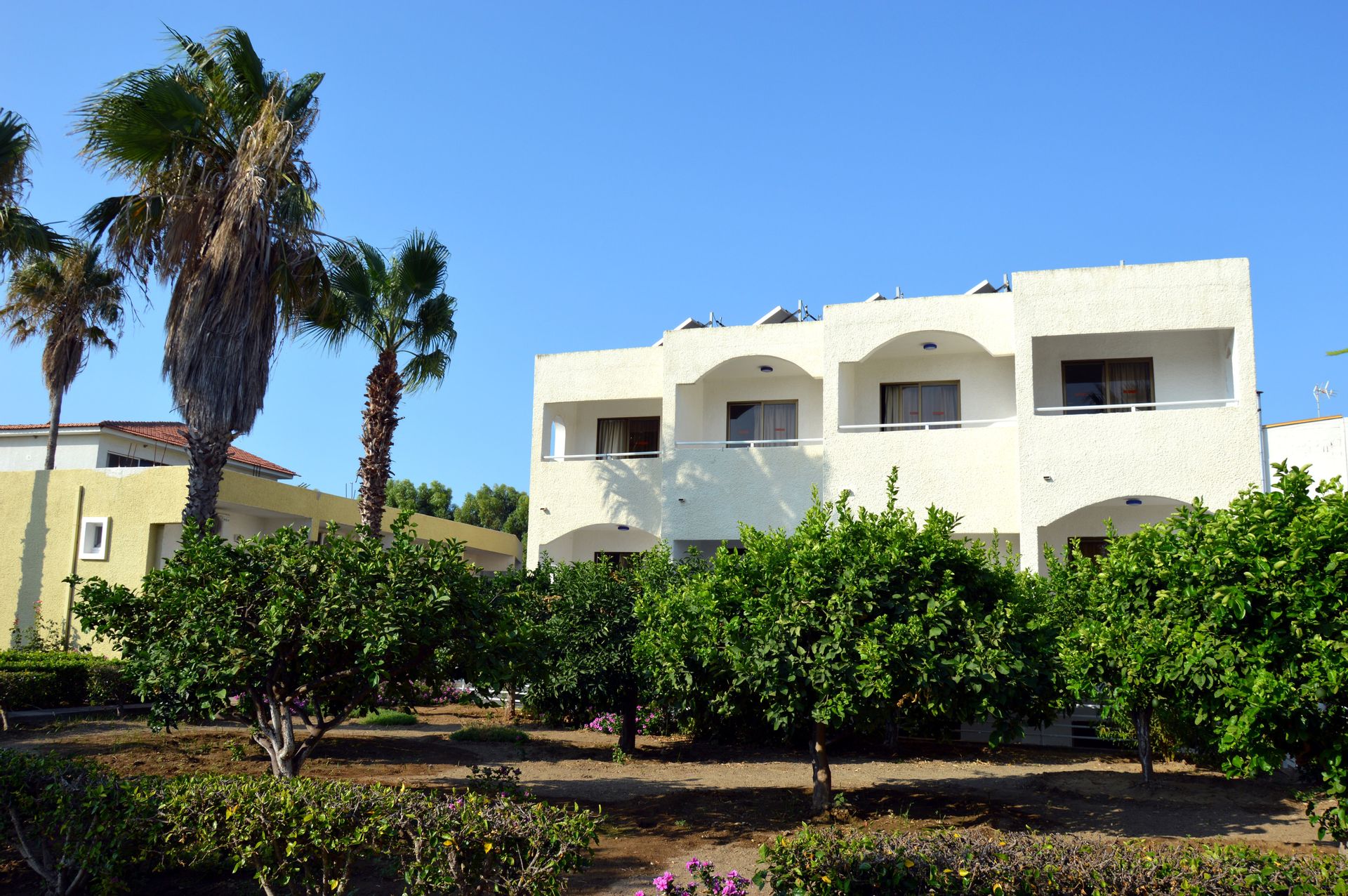 Muses Hotel - 25