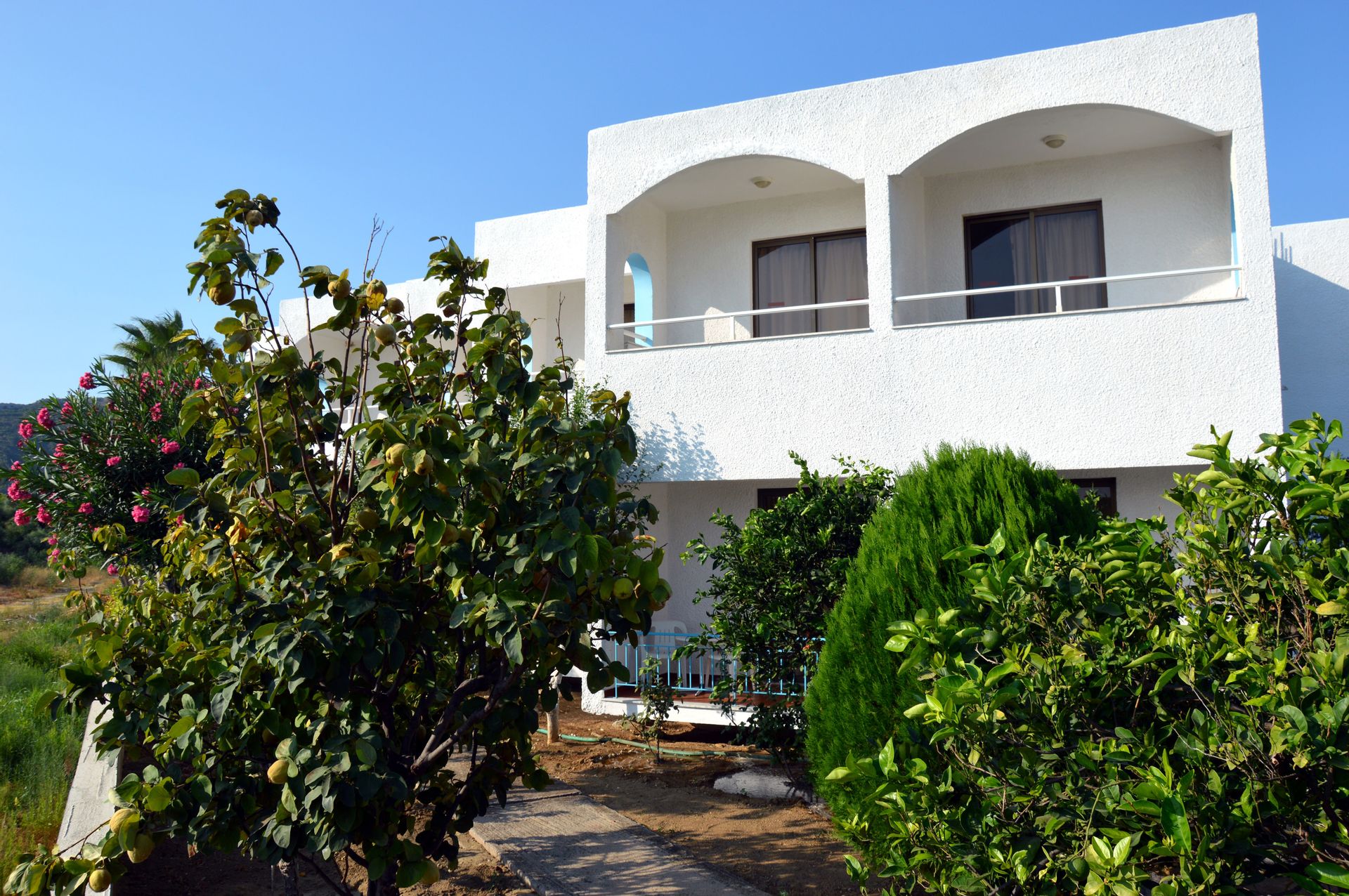 Muses Hotel - 26