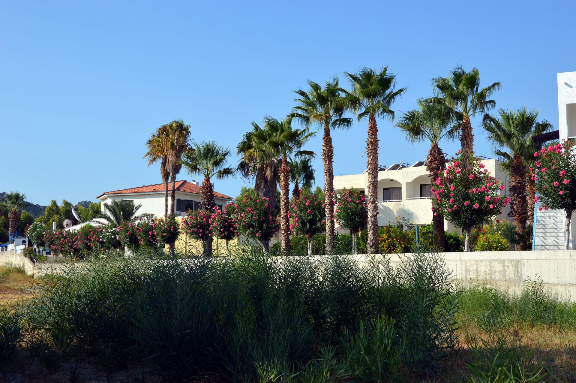 Muses Hotel - 33