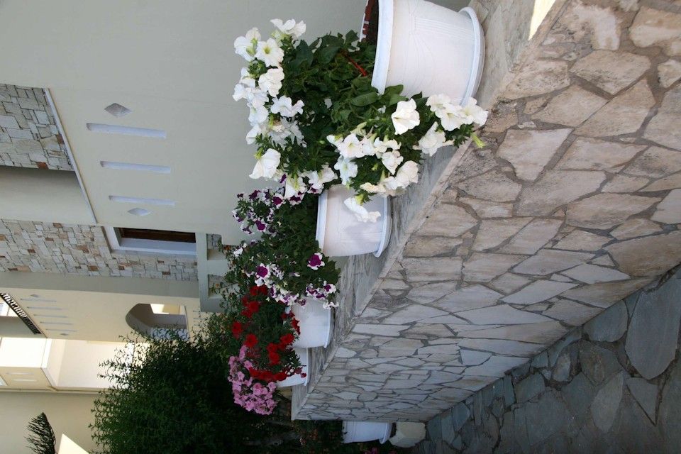 Nikos Apartments Stalis - 16