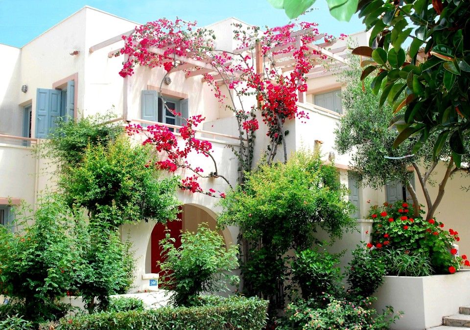 Nissia Kamares Hotel Apartments - 1