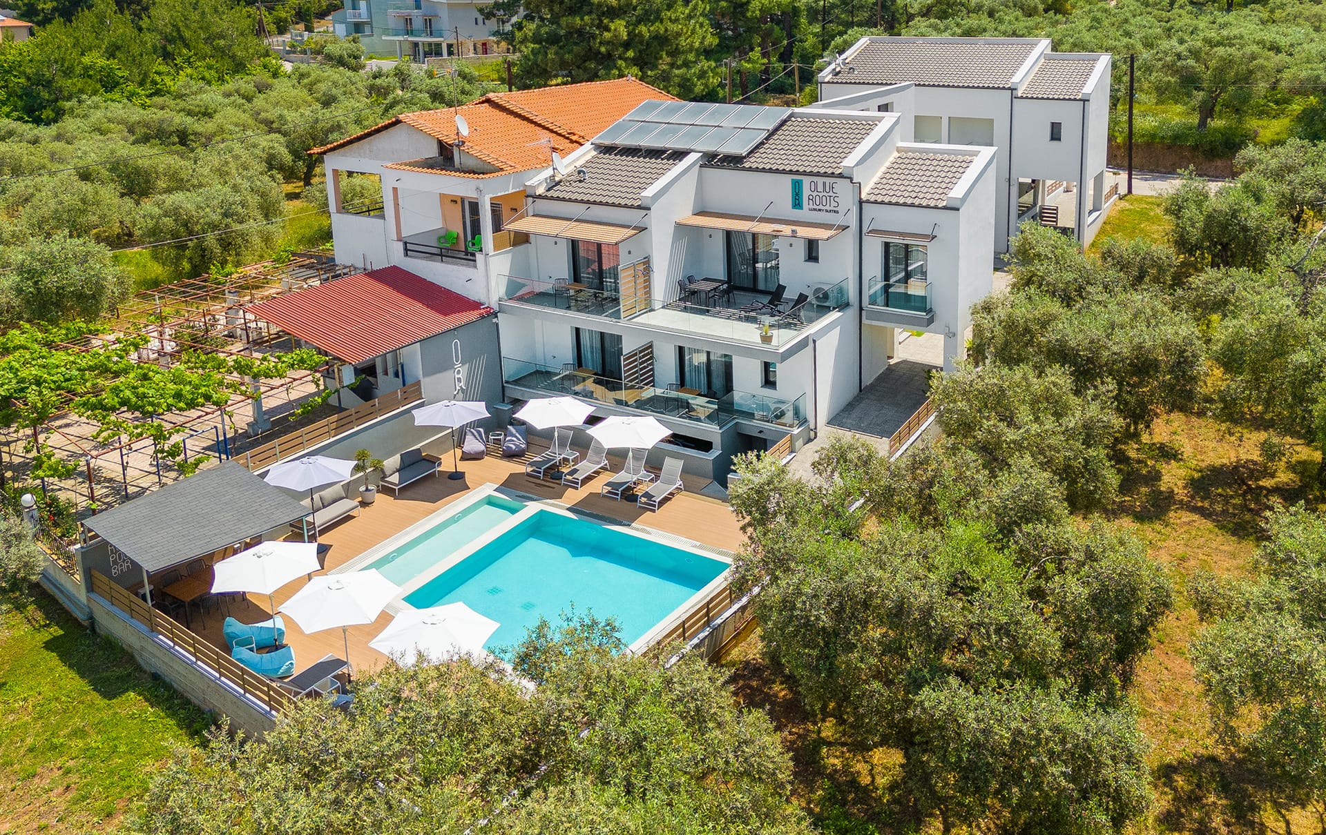 Olive Roots Thassos - 5