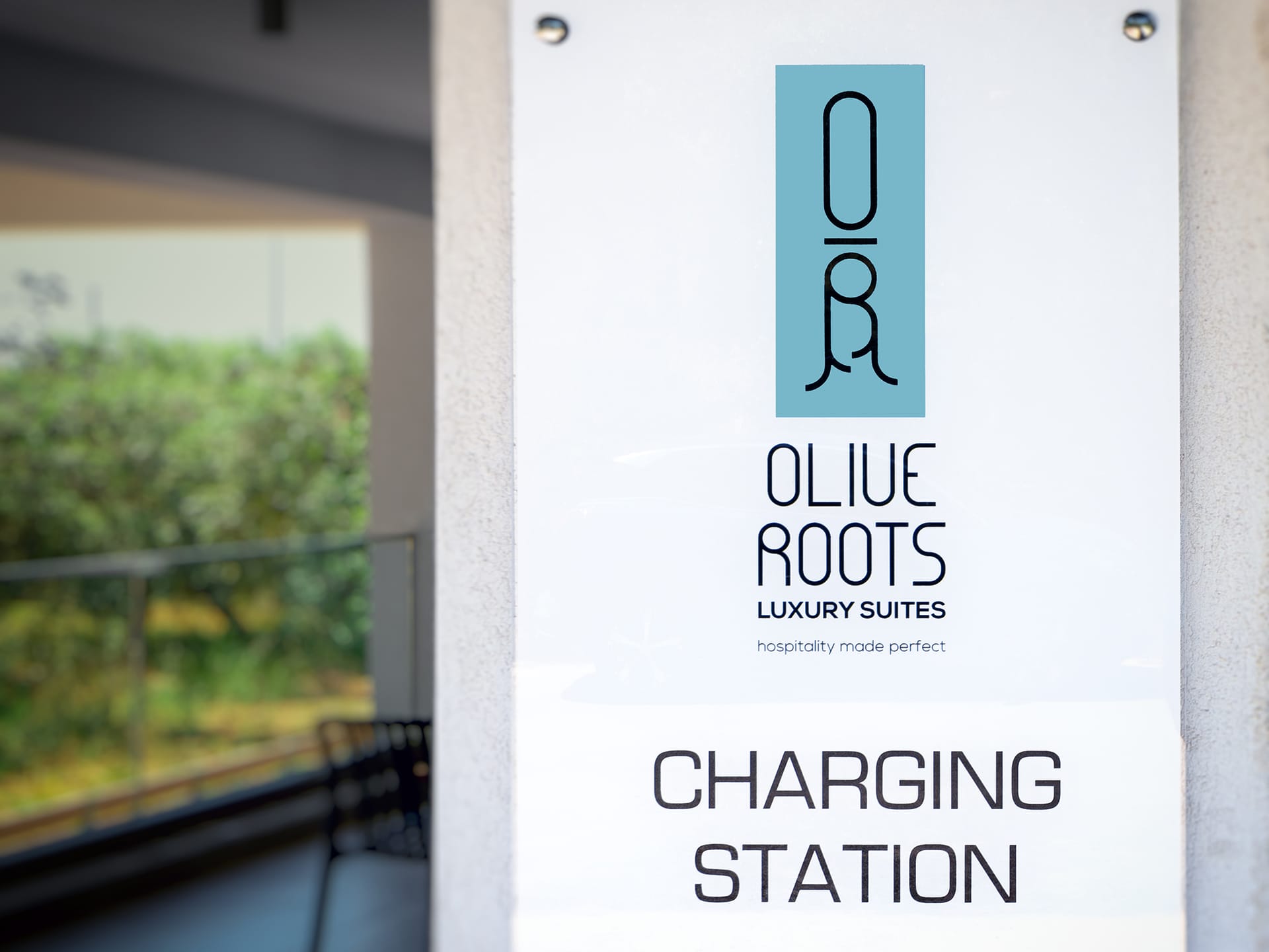 Olive Roots Thassos - 7
