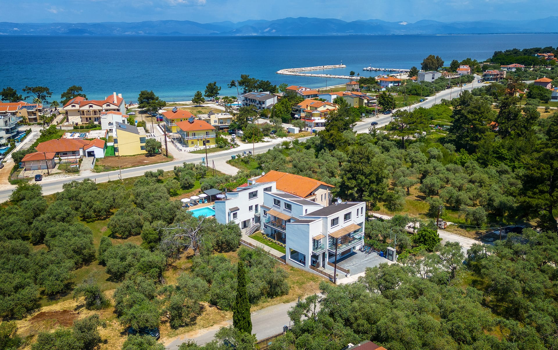 Olive Roots Thassos - 27
