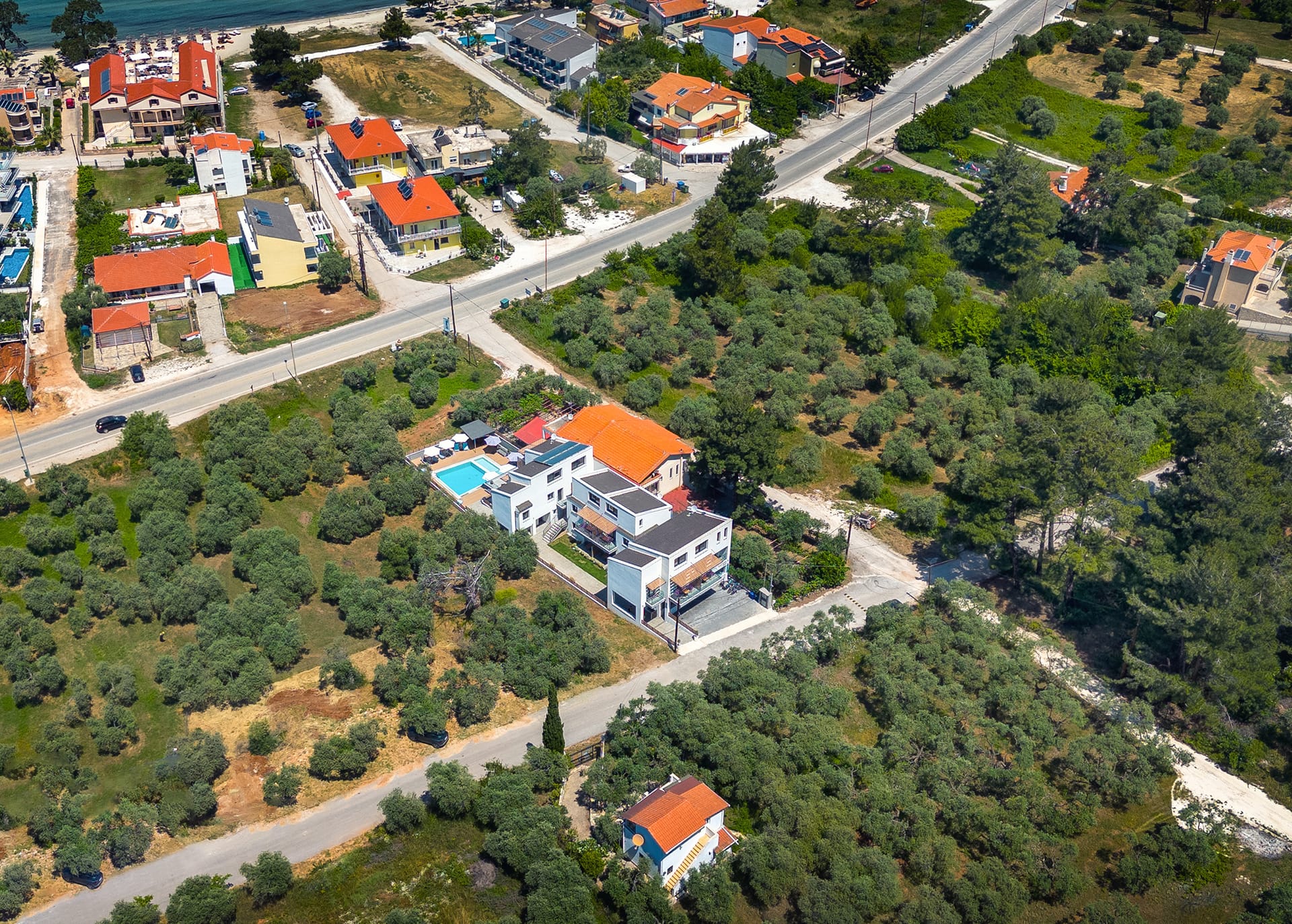 Olive Roots Thassos - 28