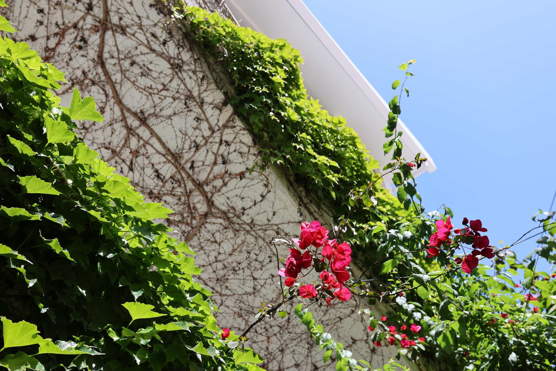 Olympic Kosma Hotel & Villas - 34