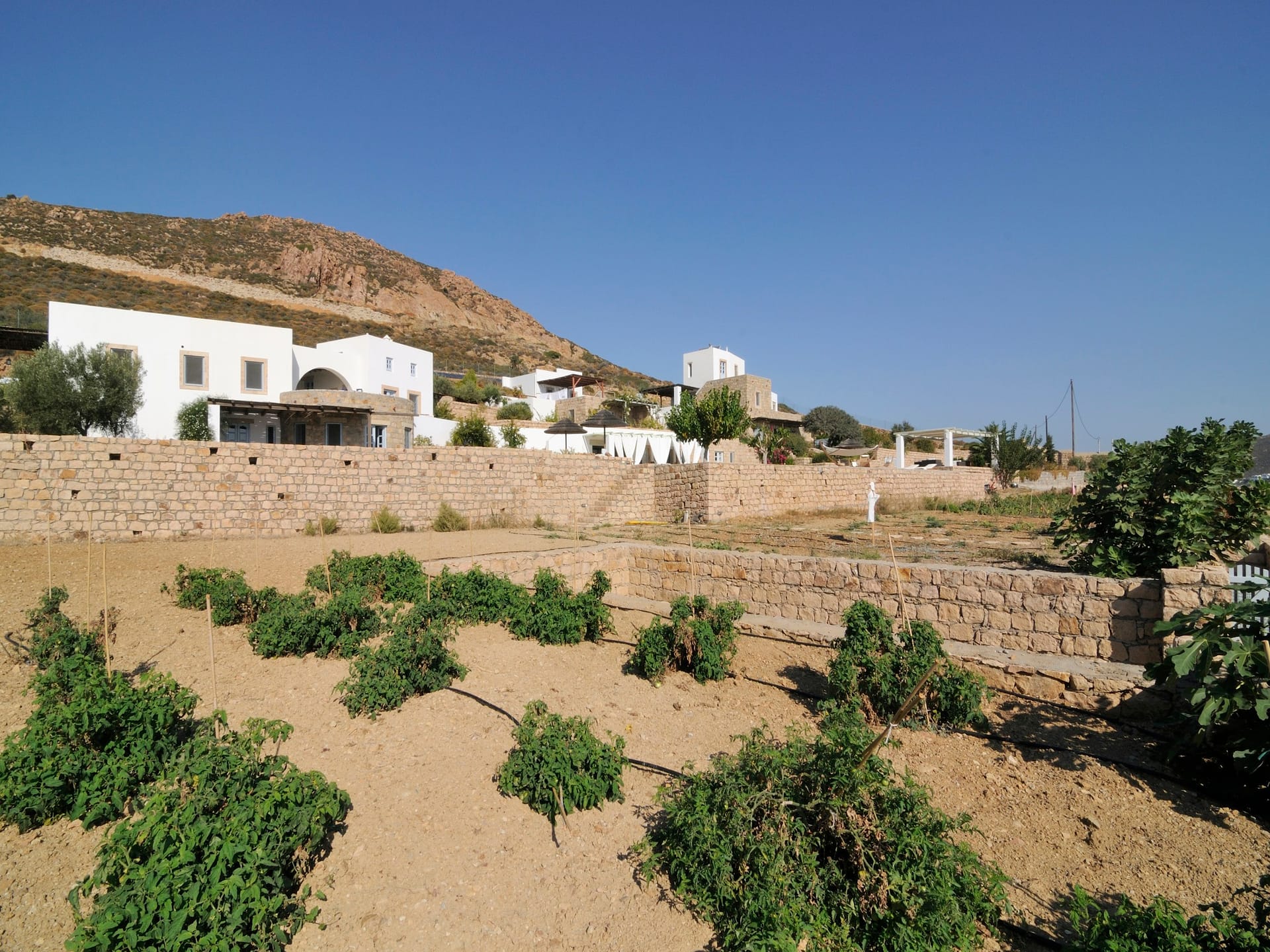 Onar Patmos - 17