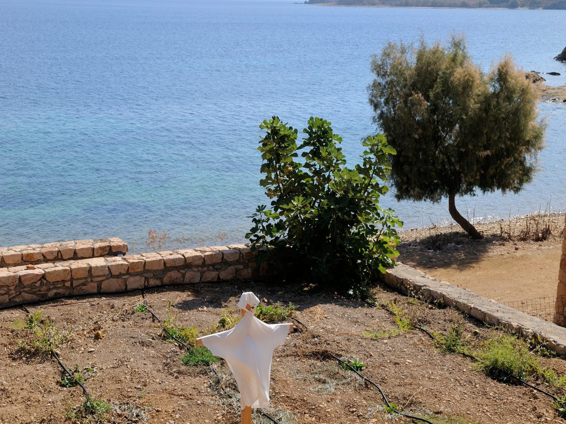 Onar Patmos - 21