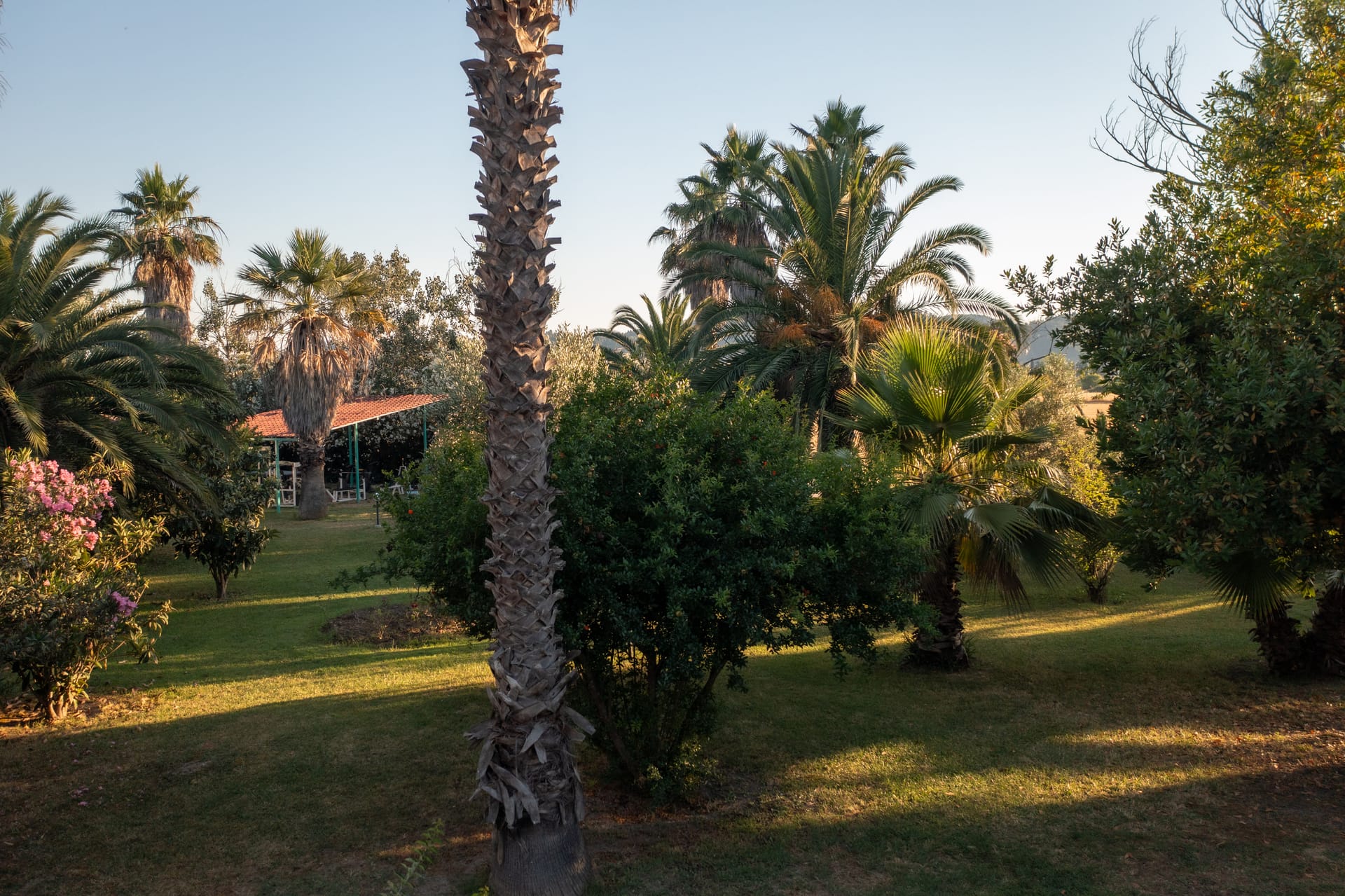 Palma Village by Greek Pride - 20