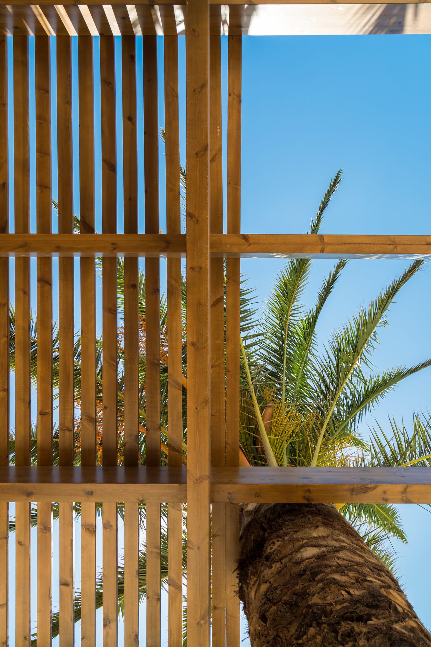 Samian Mare Hotel Suites & Spa - 26