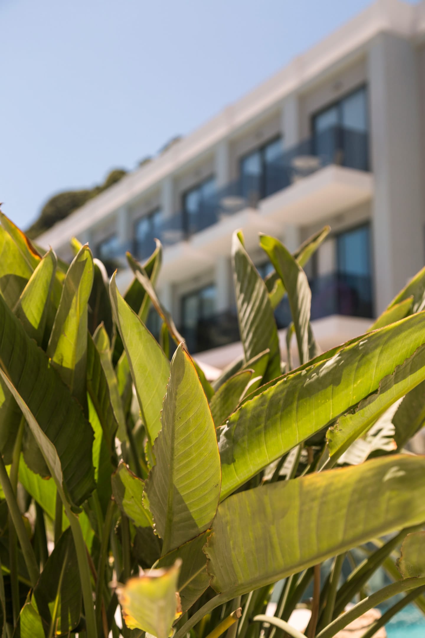 Samian Mare Hotel Suites & Spa - 29
