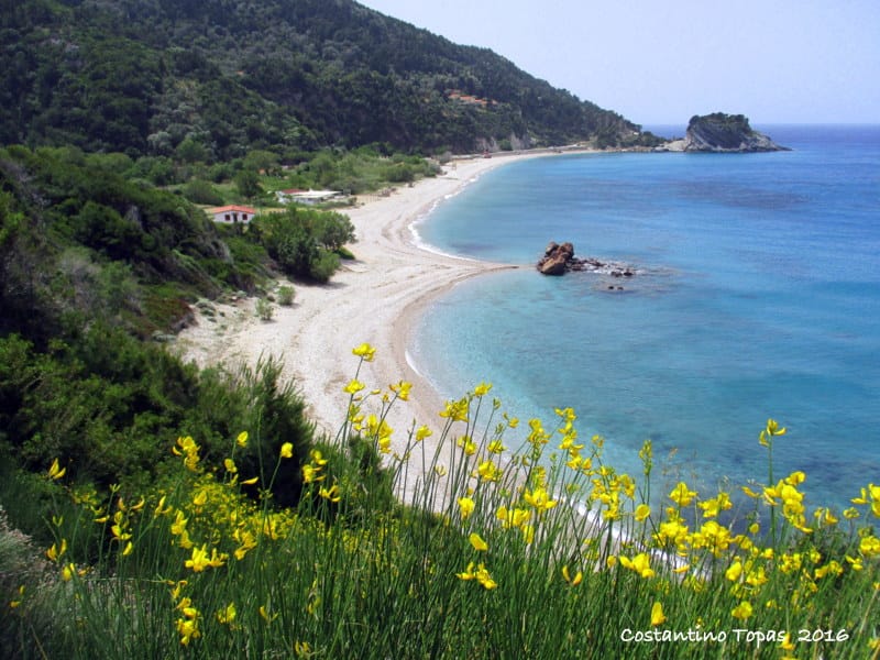 Samian Mare Hotel Suites & Spa - 76