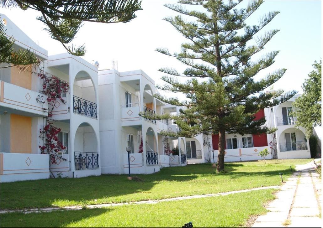 Summer Dream Hotel - 4