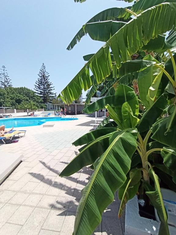 Summer Dream Hotel - 21