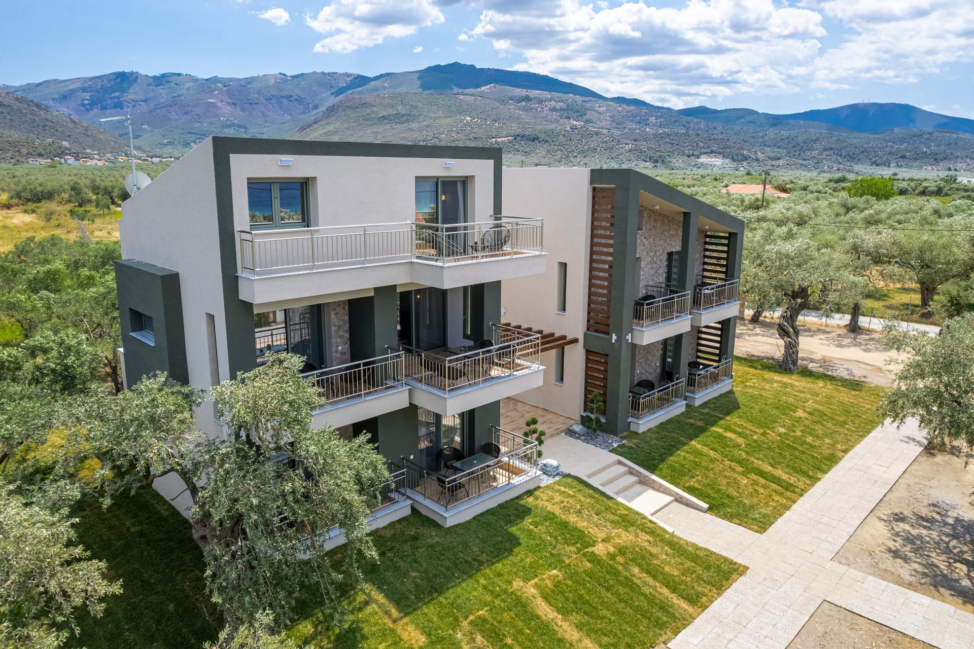 The Olive Land - 3