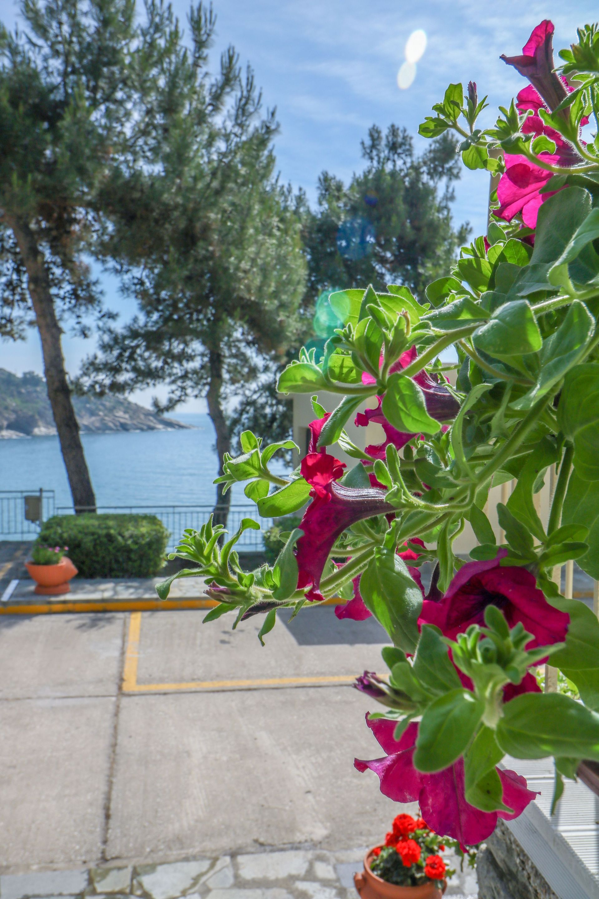 Tosca Beach Kavala - 31