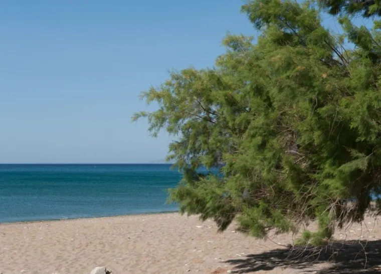 Aphrodite Samos Suites, Sisam (Samos) oteli